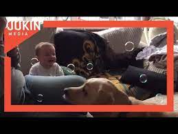 Babies Laugh While Watching Dog Eat Bubbles Youtube