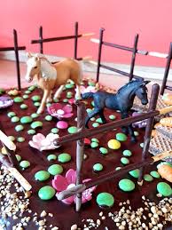 Pferdekoppel Kuchen Kindergeburtstag Pferde Geburtstag Kuchen Kindergeburtstag Pferd Kindergeburtstag Pferde Pferde Geburtstag