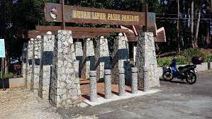 Terdapat banyak kemudahan yang disediakan di hutan lipur paya pasir termasuk pondok rehat, gerai makan, menara pandang dan tandas. Mohd Faiz Bin Abdul Manan Hutan Lipur Pasir Panjang