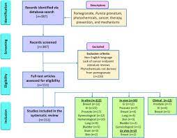 Lansky, ep and newman, ra. Pomegranate Bioactive Constituents Target Multiple Oncogenic And Oncosuppressive Signaling For Cancer Prevention And Intervention Sciencedirect