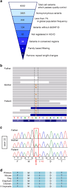 A Novel Med12 Mutation Associated With Non Specific X Linked Intellectual Disability Human Genome Variation