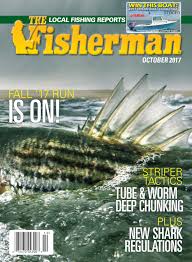 Maybe you would like to learn more about one of these? Fall Lakers Wachusett Reservoir Tactics The Fisherman