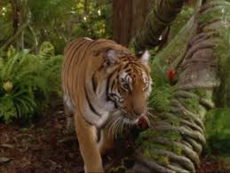 Shonen mowgli, though somewhat more faithful to the original novels than the disney which explains why there was yet another live action film, jungle book: The Jungle Book Mowgli S Story Chronique Disney Critique Du Film