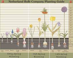 10 Ways To Make Spring Magical For Kids Bless This Mess Fall Bulbs Planting Bulbs Planting Bulbs In Spring