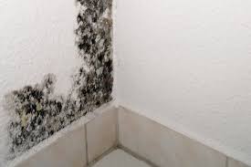Check spelling or type a new query. Traitement Humidite Des Murs Lutte Contre Les Remontees Capillaires