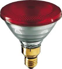 100 Watt 240 Volt Par38 Philips Red Infrared Light Bulb Infrared Light Bulb Heat Lamps Glass