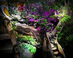 Fairy Tale Garden Da Lat Vietnam 8x10 By Candymountainphotos 14 00 Fairy Tales Vietnam Da Lat