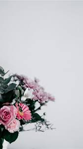 Iphone background wallpaper aesthetic iphone wallpaper flower wallpaper aesthetic wallpapers ipad pro. Best Floral Iphone Hd Wallpapers Ilikewallpaper
