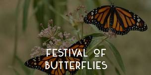 Powell Gardens’ Festival of Butterflies