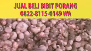 Scopri ricette, idee per la casa, consigli di stile e altre idee da provare. Jual Beli Porang Di Jambi 0822 8115 0149 Elytani Sukses Youtube