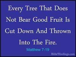 We did not find results for: Matthew 7 Holy Bible English Biblewordings Com
