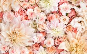 Pink Peach Coral Blush Cream Floral Flowers Blooms Desktop Wallpaper Background Flower Desktop Wallpaper Floral Wallpaper Desktop Floral Background