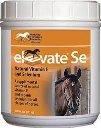 › vitamin e for horses reviews. Which Is The Best Vitamin E Supplement For Horses Horses Foals