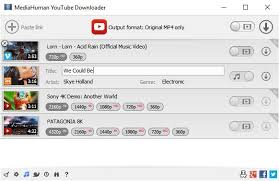 So you erased your hard drive to install leopard, and now you've got to load your mac up with all your essential software. Top 10 Free Youtube Downloader For Macos 10 15 Catalina