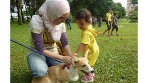 In this era of modernization, malaysia has explicitly transformed from an agricultural recently, the i want to touch a dog programme that has been held on 19th october 2014 at the central park in bandar utama, petaling jaya, has raised many. Malaysia S I Want To Touch A Dog Event A Big Hit With Muslims Se Asia News Top Stories The Straits Times