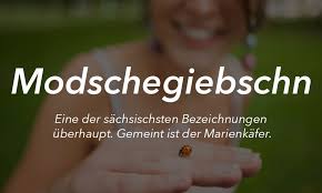 21 Sachsische Worte Die So Schon Sind Dass Sie Deutschland Nicht Verkraftet Worter Sachsische Spruche Sachsische Vornamen