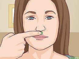 Josephine Cano (cano9362)