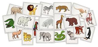 Flashcards Wild Animals Tiere Wild Speicherkarte Bildkarten