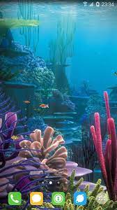 Free clown fish underwater live wallpaper apk download for android getjar. Underwater World Livewallpaper Apk Download For Android