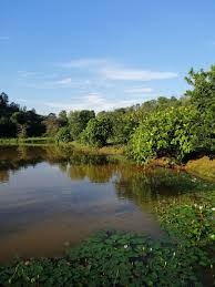 Plan to visit sireh park, malaysia. View Of Sireh Park Iskandar Puteri