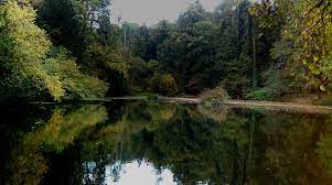 Listed on 18th mar 2021. Leigh Woods Abbots Pond Ashton Court Circular Hiking Route Outdooractive Com
