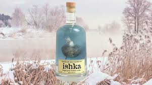 How To Start A Vodka Brand On A Shoestring Budget Vodka Vodka Bottle Liquor Store