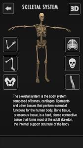 Users move a series of sliders that correspond to areas of the body and the. Download Female Anatomy 3d Female Body Visualizer Free For Android Female Anatomy 3d Female Body Visualizer Apk Download Steprimo Com