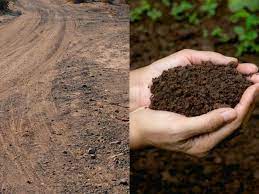 Let's say you wash your dirty dog in a big tub. Are Soil And Dirt The Same Thing Thriving Yard