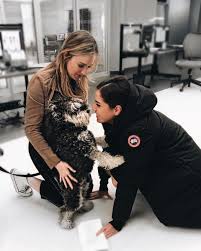 Audrey esparza is an actress best known for her role as fbi agent tasha zapata, on the american television series blindspot. Audrey Esparza Audreyesparzas Twitter