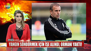 Name in home country / full name: Krampon Sports On Twitter Umit Karan Fenerbahce Nin Yeni Teknik Direktoru Abdullah Avci Olabilir Beyaz Futbol
