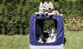 In neuer wohnung alleine bleiben: Hundebox Fur Zuhause Wohnung Grosse Auswahl