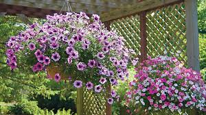 Check spelling or type a new query. Hanging Basket Hacks Garden Gate