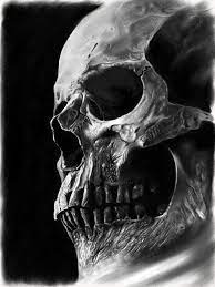 Check spelling or type a new query. Realistic Contrasting Skull On Behance