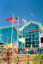 Smoky Mountain Attractions Attractions In Pigeon Forge Gatlinburg And Sevierville Tn Tennessee Vacation Gatlinburg Vacation Smokey Mountains Vacation