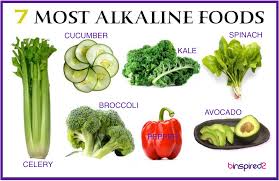 5 easy steps to stay you will discover incredible alkaline tips & recipes for a healthy body. Academy Of Family Health Alkaline Diet Recipes