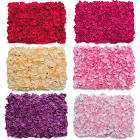 Check spelling or type a new query. Aclk Sa L Ai Dchcsewjbsevf Y Zahvk Hckhr67do0yabaeggjlzg Sig Aod64 3vzfvqmyv7kxq8mqfyxfzyzcb2gw Adurl Ctype 5