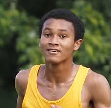 Eagle cross country runners finish eighth in state