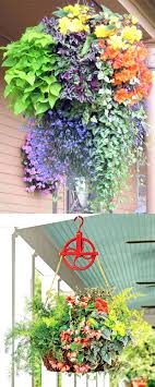 Never mind, here the list of most beautiful flowers for hanging baskets. How To Plant Beautiful Flower Hanging Baskets 20 Best Hanging Basket Plants Hometalk Summer Inspiration Plants For Hanging Baskets Hanging Flower Baskets Hanging Plants