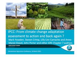 PDF) IPCC: From climate change adaptation assessment to action and back  again