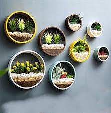 Il giardino è un piccolo angolo di paradiso all'interno del quale devono poter convivere diverse specie vegetali. Esaurimento Museo Guggenheim Elevato Piante Pendenti Da Vaso Amazon Monzacorre It