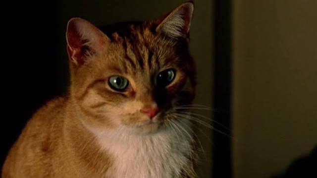 Shopgirl (2005) - Cinema Cats