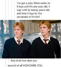 Pin On Funnies