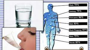Rahasia Langsing Alami Minum Air Putih Dengan Cara Ini Berat Badan Turun 4 3 Kilogram Per Hari Halaman All Tribun Cirebon