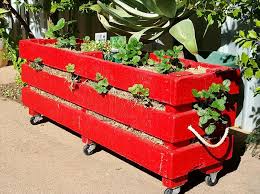Clone this diy red painted pallet strawberry planter box, a more secure and unique way to grow strawberries, and will also be a centerpiece to your garden decors! Pallet Strawberry Planter Easy Pallet Ideas