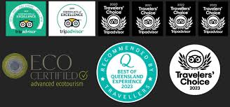 Customer Reviews For the TreeTop Challenge