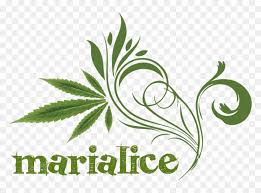 Download Cartoon Weed Leaf Png Participants Hd Png Download Transparent Png Vhv
