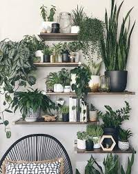 Inspiration 10 Idees Pour Un Mur Vegetal Interieur Plante Chambre Decoration Plante Mur Vegetal Interieur