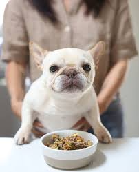 Diy Healthy Homemade Dog Food Where S The Frenchie