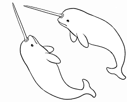 Gorgeous and relaxing kids #2690794. Narwhal Coloring Pages Best Coloring Pages For Kids