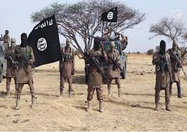 Iswap militant group says abubakar shekau is dead story by reuters 8 hrs ago biogen ceo says $56,000 annually for alzheimer's drug is 'fair,' promises not to hike price for at. Albarnawy Replaces Shekau As Iswap Boko Haram Leader The Guardian Nigeria News Nigeria And World News Nigeria The Guardian Nigeria News Nigeria And World News